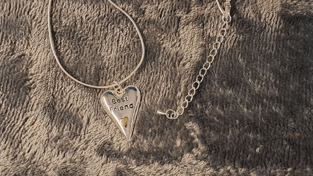 Silver Coloured Best Friend Heart Necklace